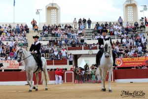 Victoria para la Tauromaquia en Francia