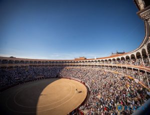 Voluntad de la terna en Madrid
