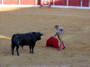 La torería de Juan Ortega destaca en Baeza