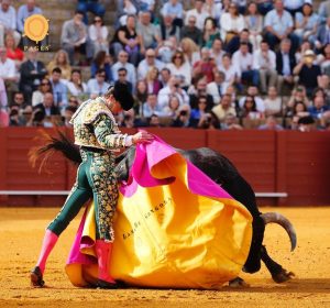 Lama de Góngora debutará en Francia como matador de toros