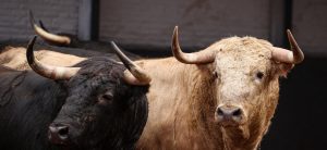 Los novillos de Fuente Ymbro para hoy en Madrid