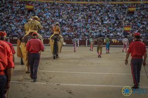 Suspendida la Final del 'Camino hacia Las Ventas?