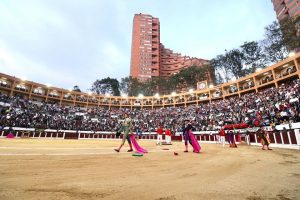 Comunicado de ANOET sobre la prohibición de los toros en Colombia
