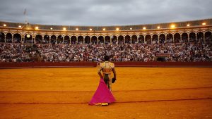 Sigue con nosotros la gala de entrega de los Premios Puerta del Príncipe
