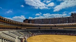 Tauroemoción lanza el vídeo promocional de San Pedro Regalado