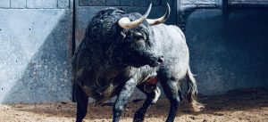 Los toros de La Quinta para la séptima de San Isidro