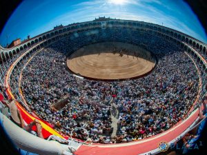 Más de medio millón de personas han asistido a los festejos de San Isidro