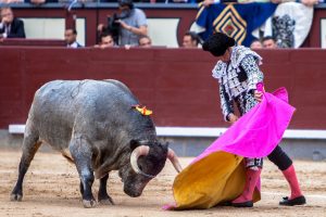 Morenito de Aranda ante la cita del domingo en Las Ventas
