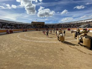 Reseña de las corridas de Sahagún y Cariñena