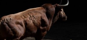 Cinco toros de Jandilla y uno de Vegahermosa para la Corrida In Memoriam