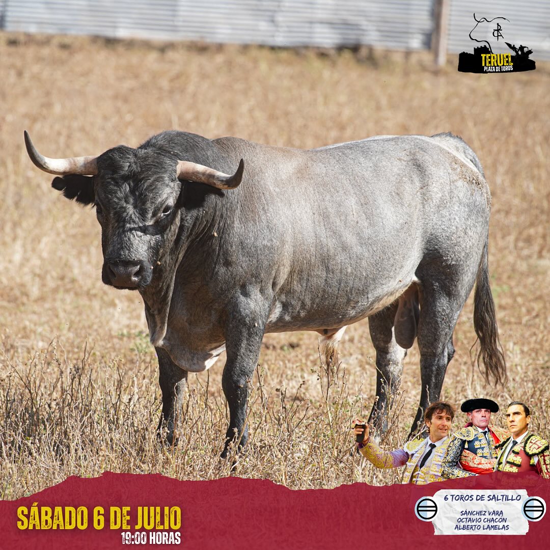 Orden de lidia de los toros de Saltillo para hoy en Teruel ...