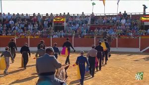 Éxito de público y artístico en el festival de Almonte