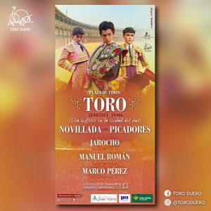 Novillada con picadores en Toro