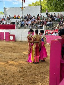 Resultado de la novillada de Plaisance