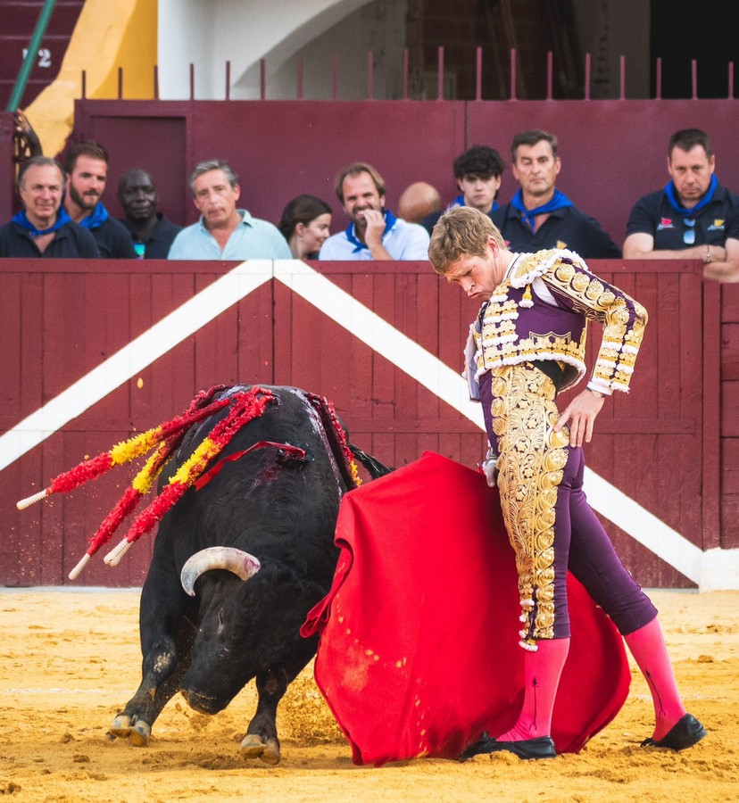 Puerta grande de Borja Jiménez en Tarazona