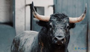 El espectacular desembarque de los toros de Saltillo y Valdellán en Las Ventas