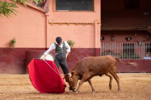 David Galván, una tarde de toreo en Samuel Flores