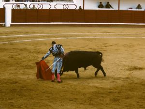 David Galván, mejor faena de la Feria de Manzanares
