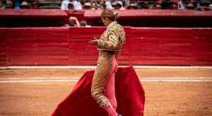 Accidentada novillada en La México