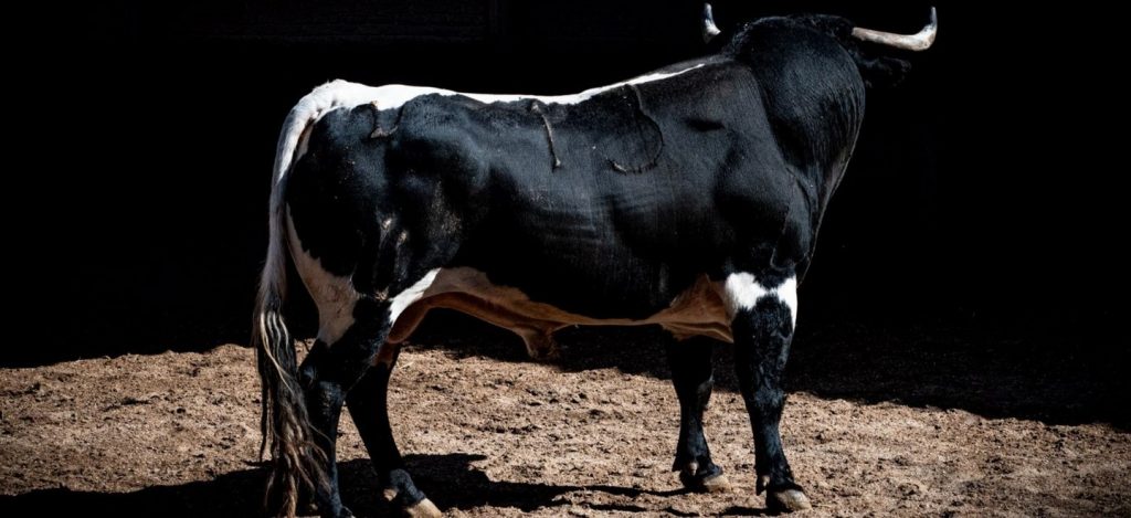 Cuatro astados de Benítez Cubero y dos de Pallarés para esta tarde en Las Ventas