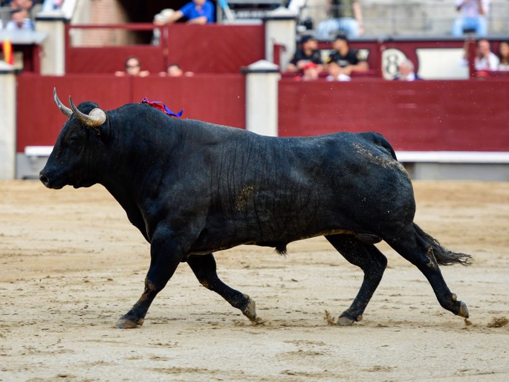 Valdellán y Las Ventas, un palmarés de éxito
