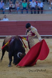 Pablo Aguado por Morante en Sevilla