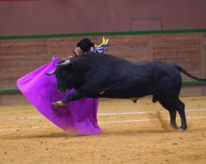 Vuelta al ruedo para Alberto Donaire en la primera de Arnedo