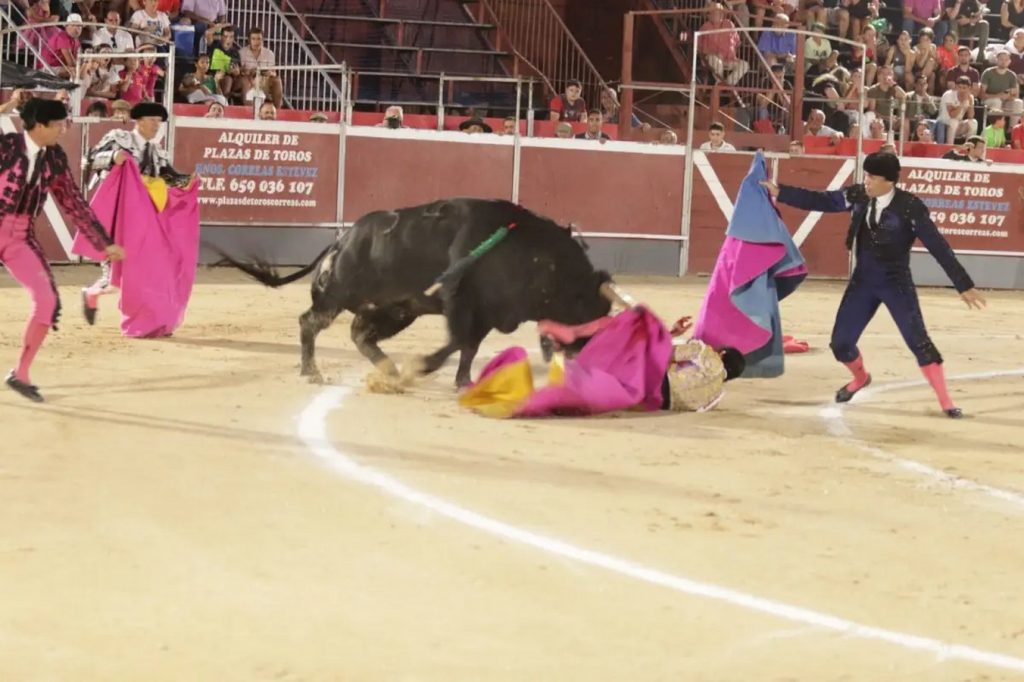 Grave cornada en el cuello al novillero César Pacheco en Calasparra