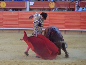 Resultado de las novilladas de Arganda del Rey y Laguna de Duero