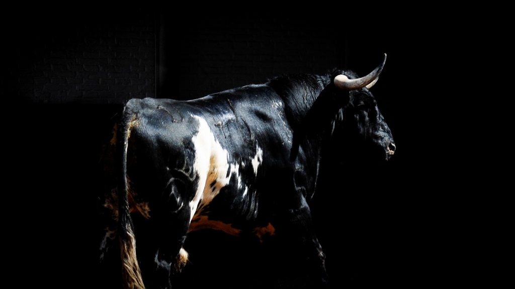 Así llega Dolores Aguirre al desafío de este domingo en Madrid