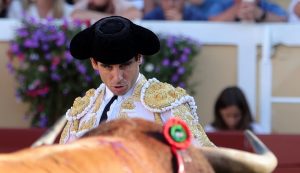 Solitario apéndice para Juan Ortega en Guadalajara