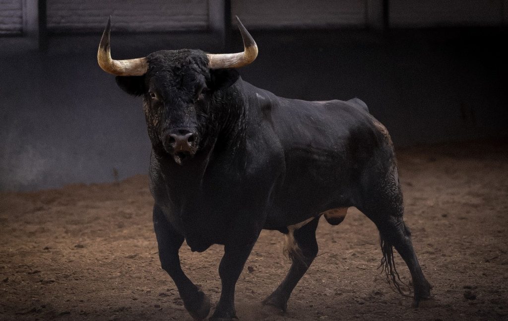 Los toros de Dolores Aguirre y Sobral ya están en Las Ventas
