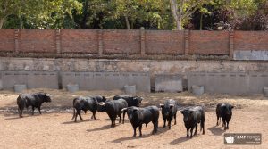 Sorteados los de los Herederos de Sánchez y Sánchez para Salamanca