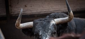 Orden de lidia para la corrida concurso de hoy en Las Ventas