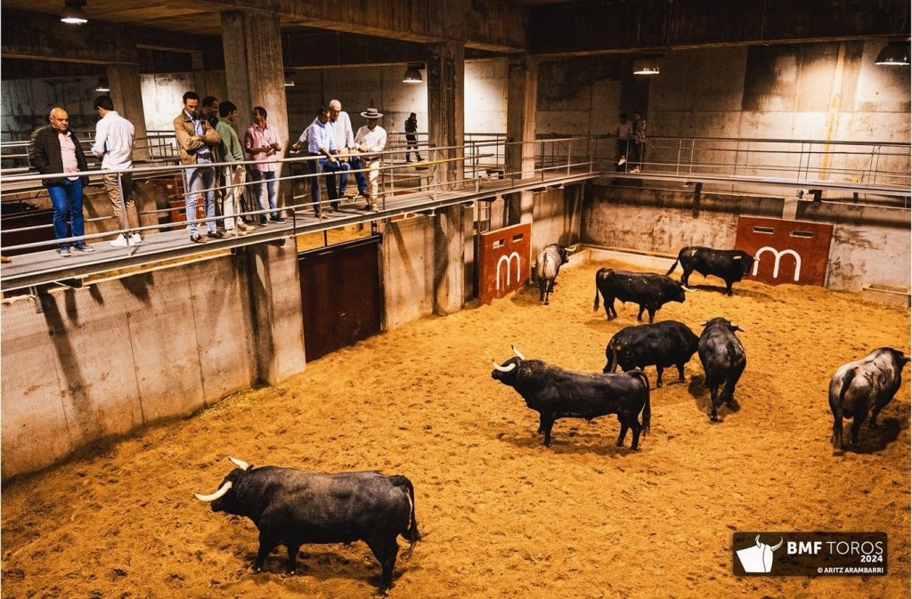 Los astados de Pallarés para la de rejones de Logroño
