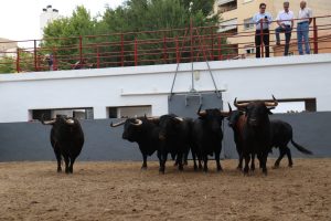 Orden de lidia para el arranque de la Feria de Albacete