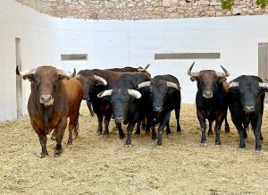 Los toros de Victoriano del Río para la tercera de la Feria de Murcia