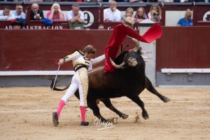 Borja Jiménez no podrá actuar en Zaragoza, Calanda y Bilbao