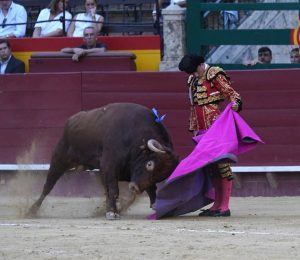 Alberto Donaire, primer torero contratado en Valencia para 2025