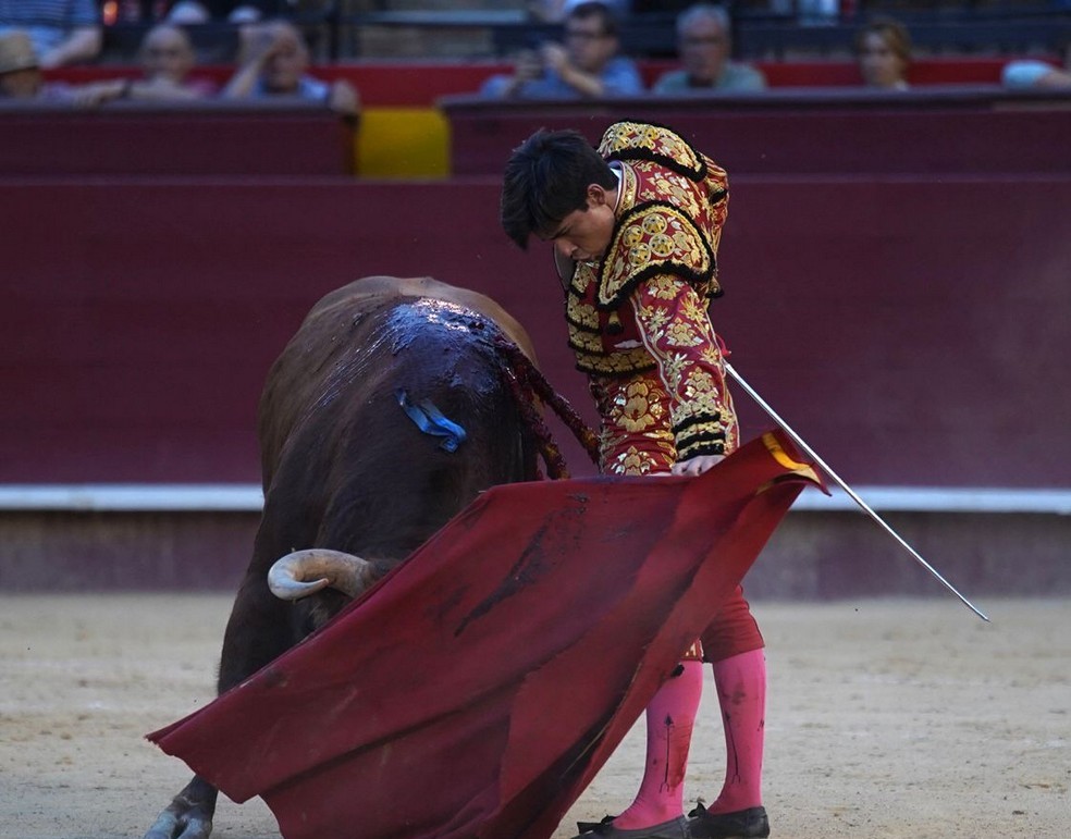 El novillero Alberto Donaire sale del hospital