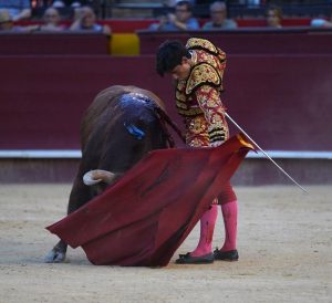 El novillero Alberto Donaire sale del hospital