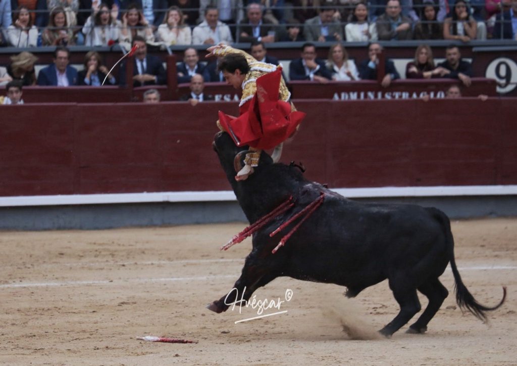 Cornada a Roca Rey en Madrid