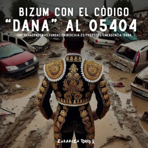 Plataforma Solidaria en ayuda de los damnificados por la DANA