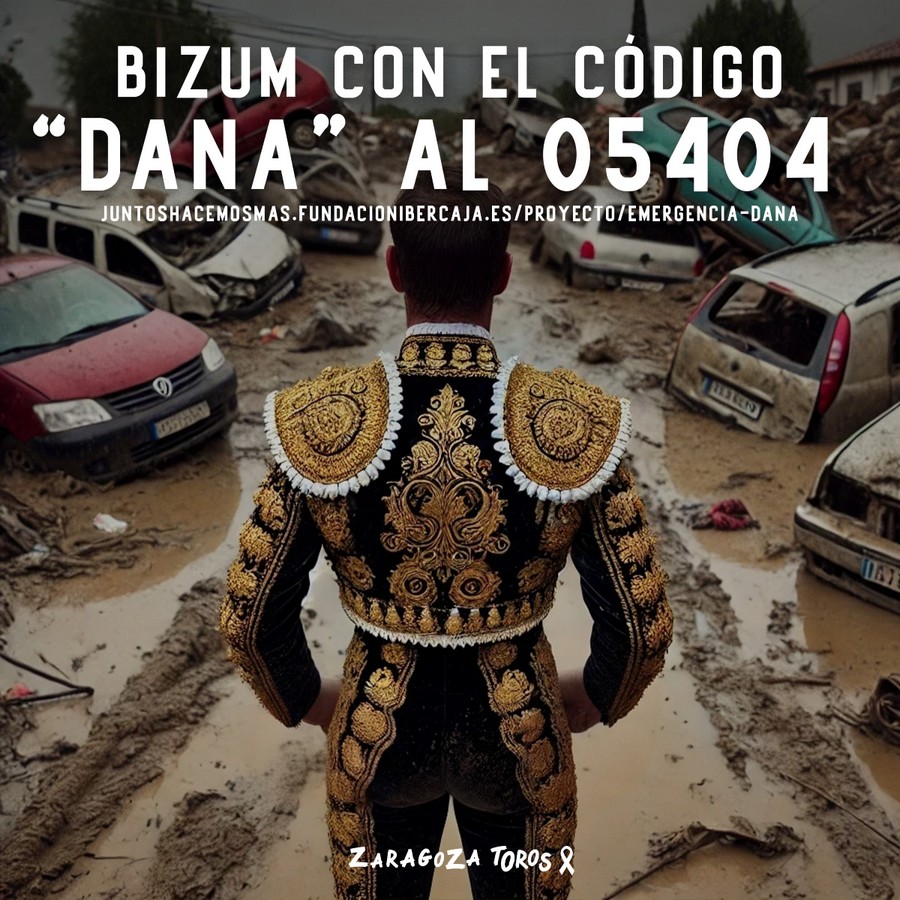 Plataforma Solidaria en ayuda de los damnificados por la DANA