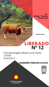 Los erales para la Final del Bolsín Taurino de La Carlota