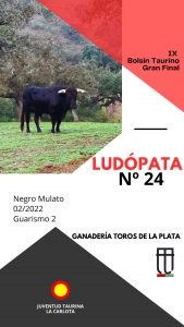 Los erales para la Final del Bolsín Taurino de La Carlota