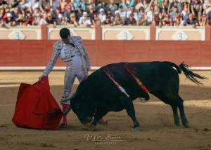 Fernando Adrián cierra su cuadrilla para 2025