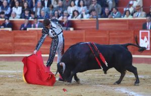Sergio Sánchez, ganador de la Liga Nacional de Novilladas