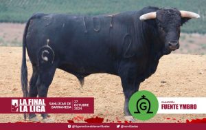 Los novillos de Fuente Ymbro para la Final de la Liga