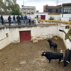 Orden de lidia para la 1ª corrida de la Feria de Jaén